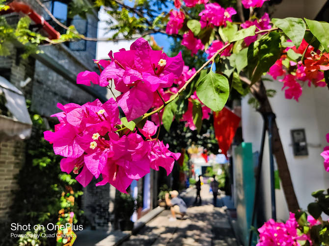 真香|一加 8T详细评测：3399元的真香屏幕超旗舰