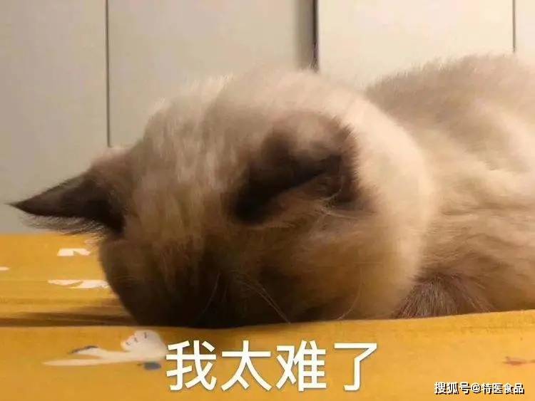 减肥吃什么东西好啊 50a980dd7b2e4f78b0c39ba9ae7cf398.jpeg