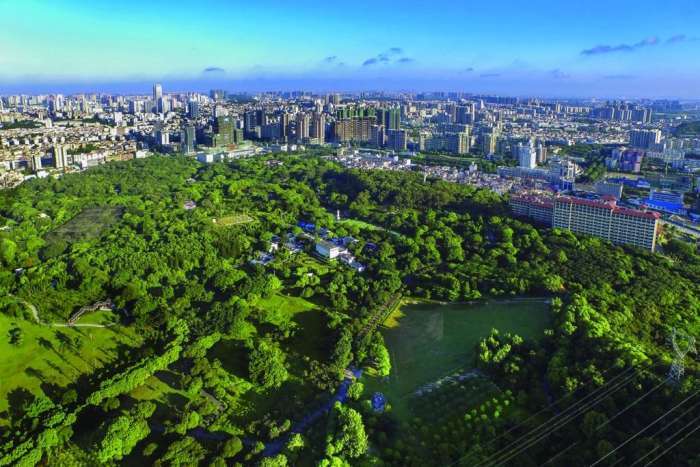 湛江市区常住人口_湛江市区图片