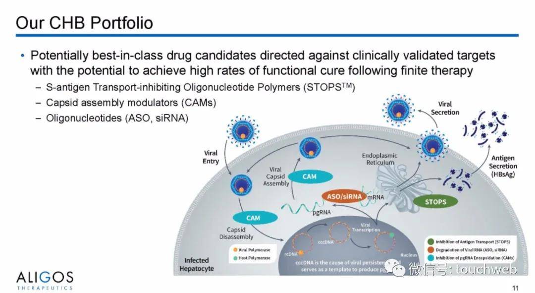 Aligos|专治乙肝的医药企业Aligos上市：市值5亿美元