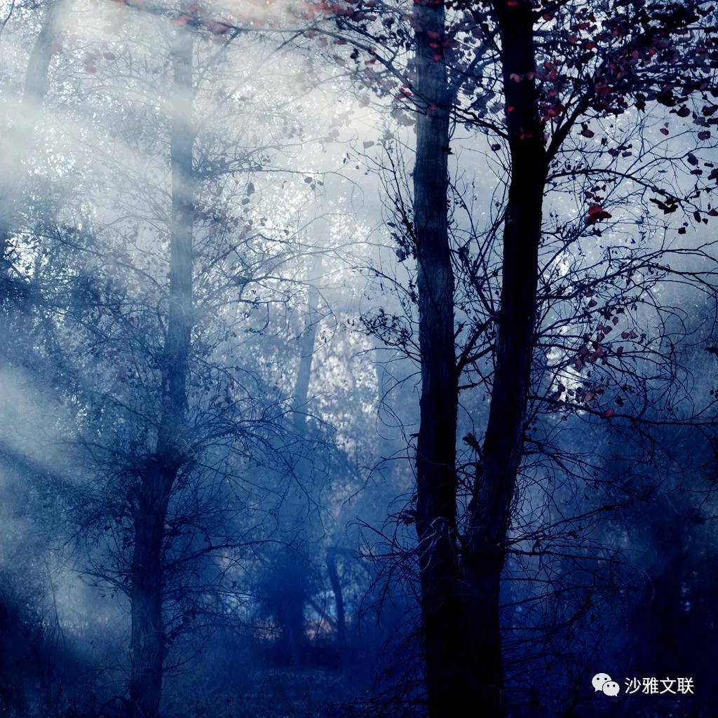 活动|沙雅十六万元摄影大奖等您拿!