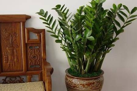 8a2d171f0bfe4e23b27fc2f37ab53841.jpeg
