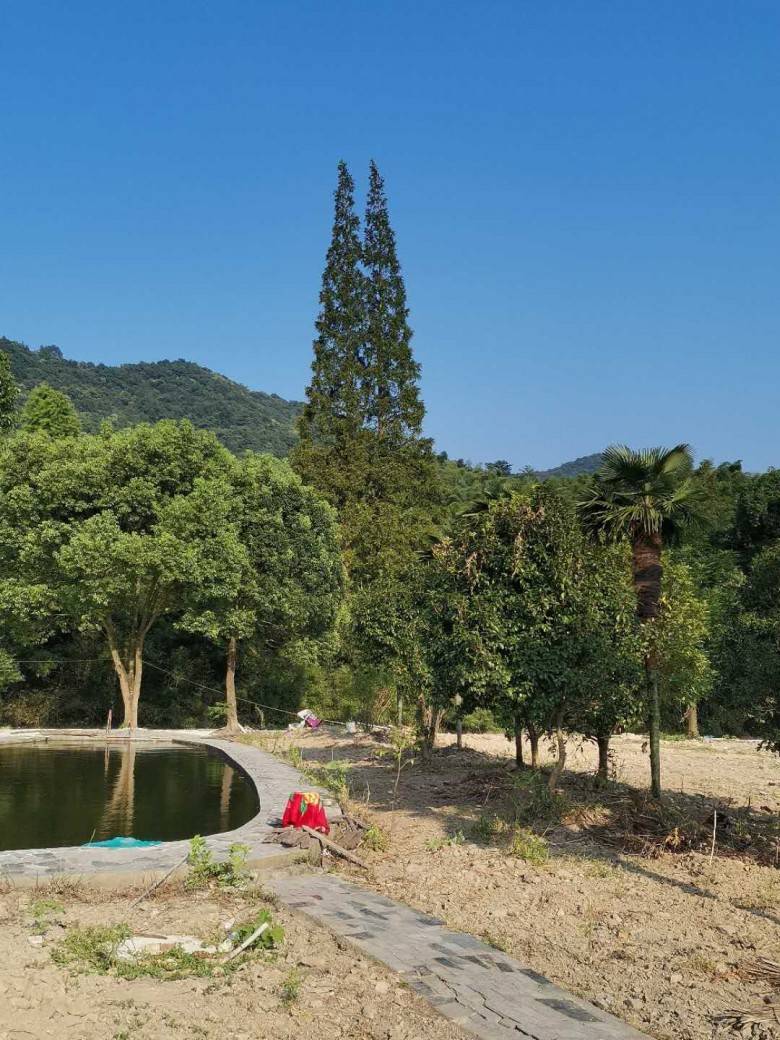 宁波东钱湖度假区GDP_宁波东钱湖康得斯酒店(3)