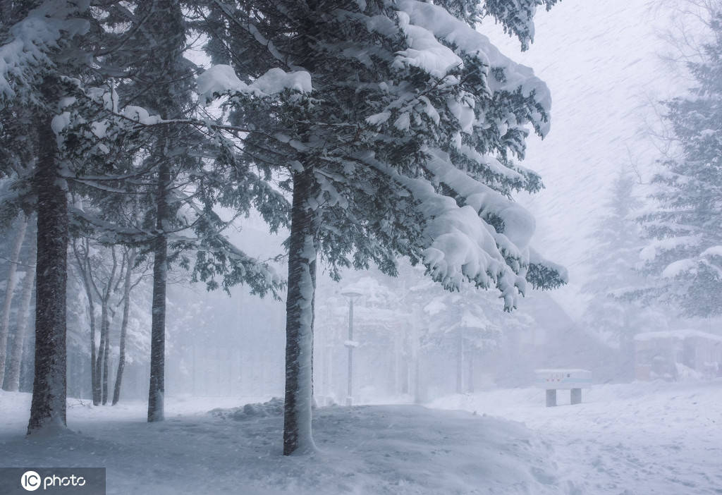 童话里的风景!日本北海道札幌小樽自然雪景