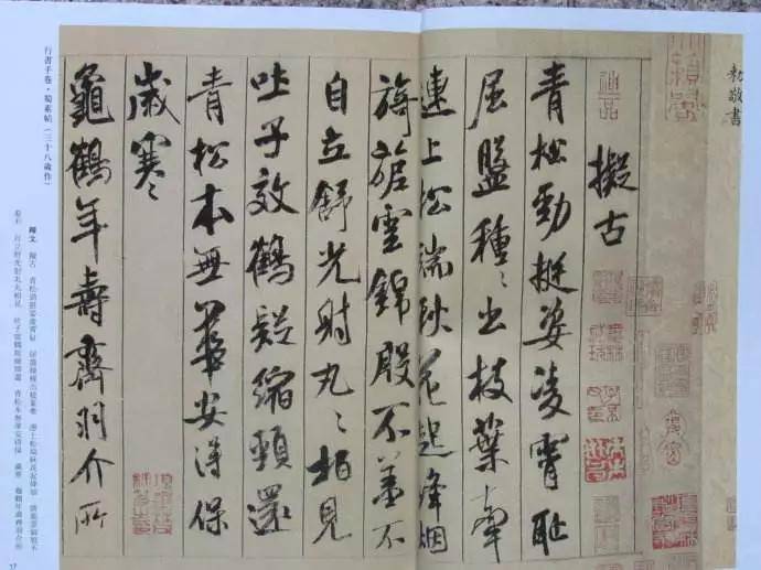 龚洪英米颠的书法豪放又不失精微