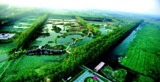 胶州gdp_胶州里岔黑赵波图片(3)