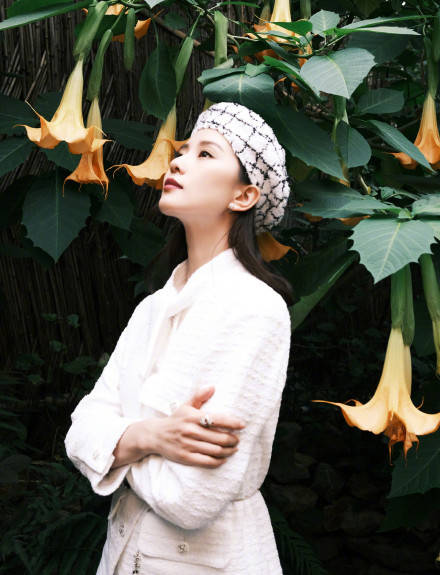 宋茜|刘诗诗宋茜两代金鹰女神同框，当妈后的诗诗小V脸又美又瘦，气质出尘