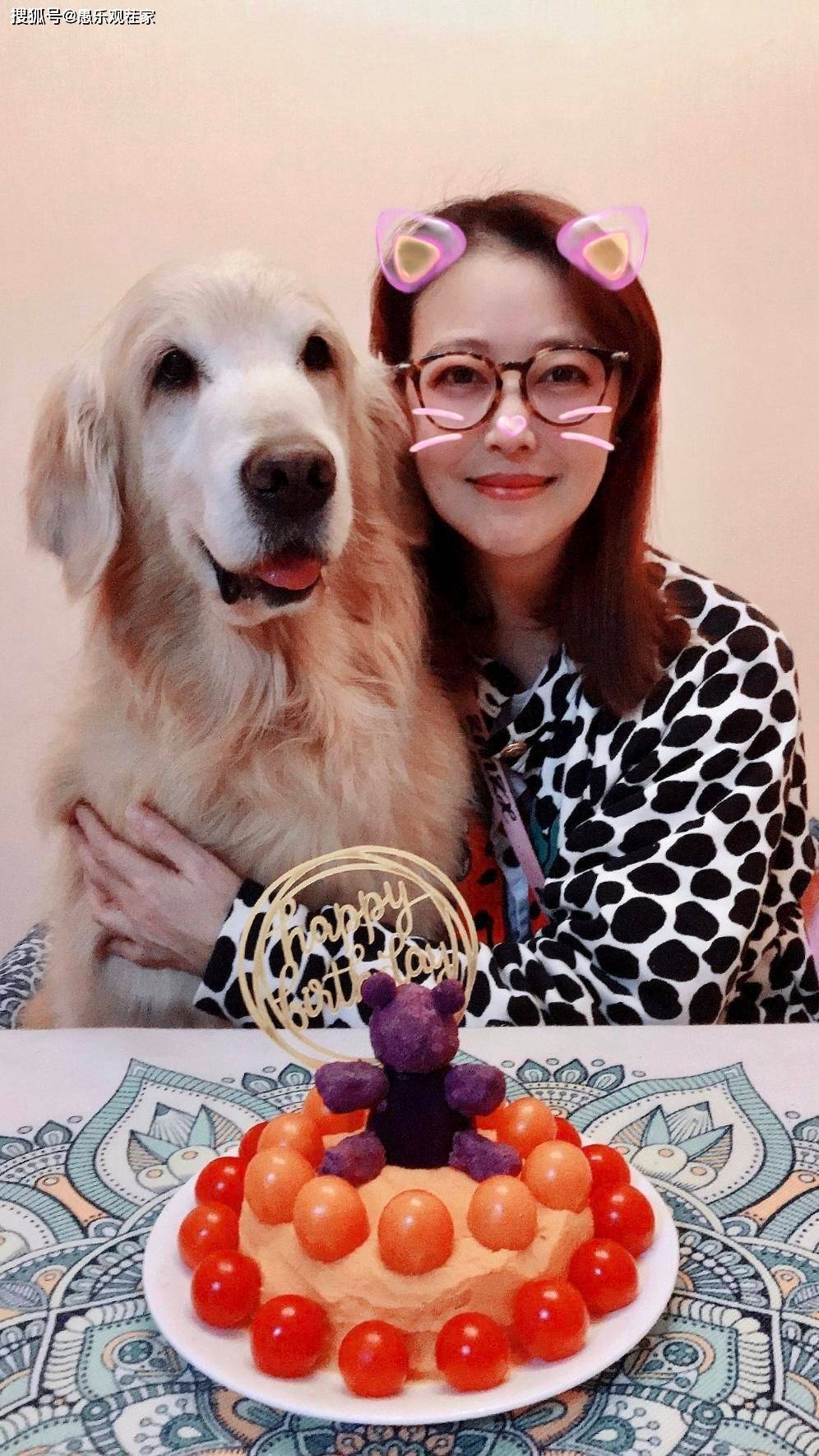 少女|原创53岁周海媚为爱犬庆生，皮肤紧致状似少女，网友在线催生遭其反怼