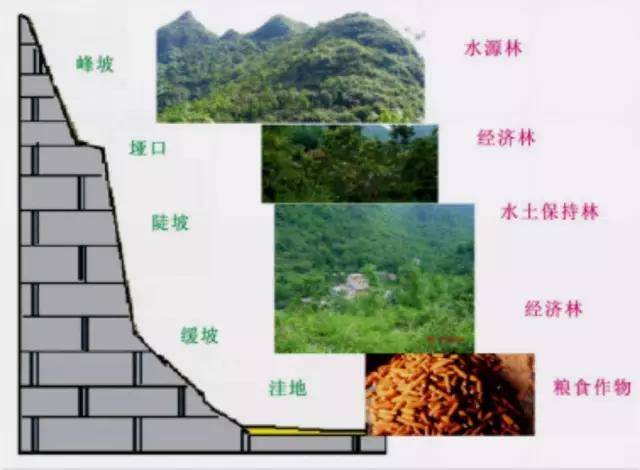 多级利用的垂直变化和立体生产布局特点的一种农业