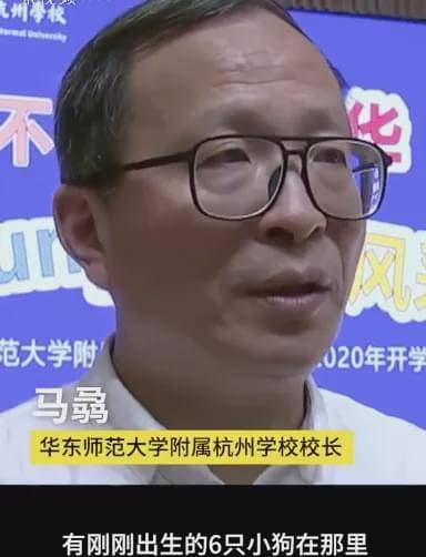 流浪狗|家长质疑学校里有流浪狗，校长却亲自为它们组织了一场演讲……