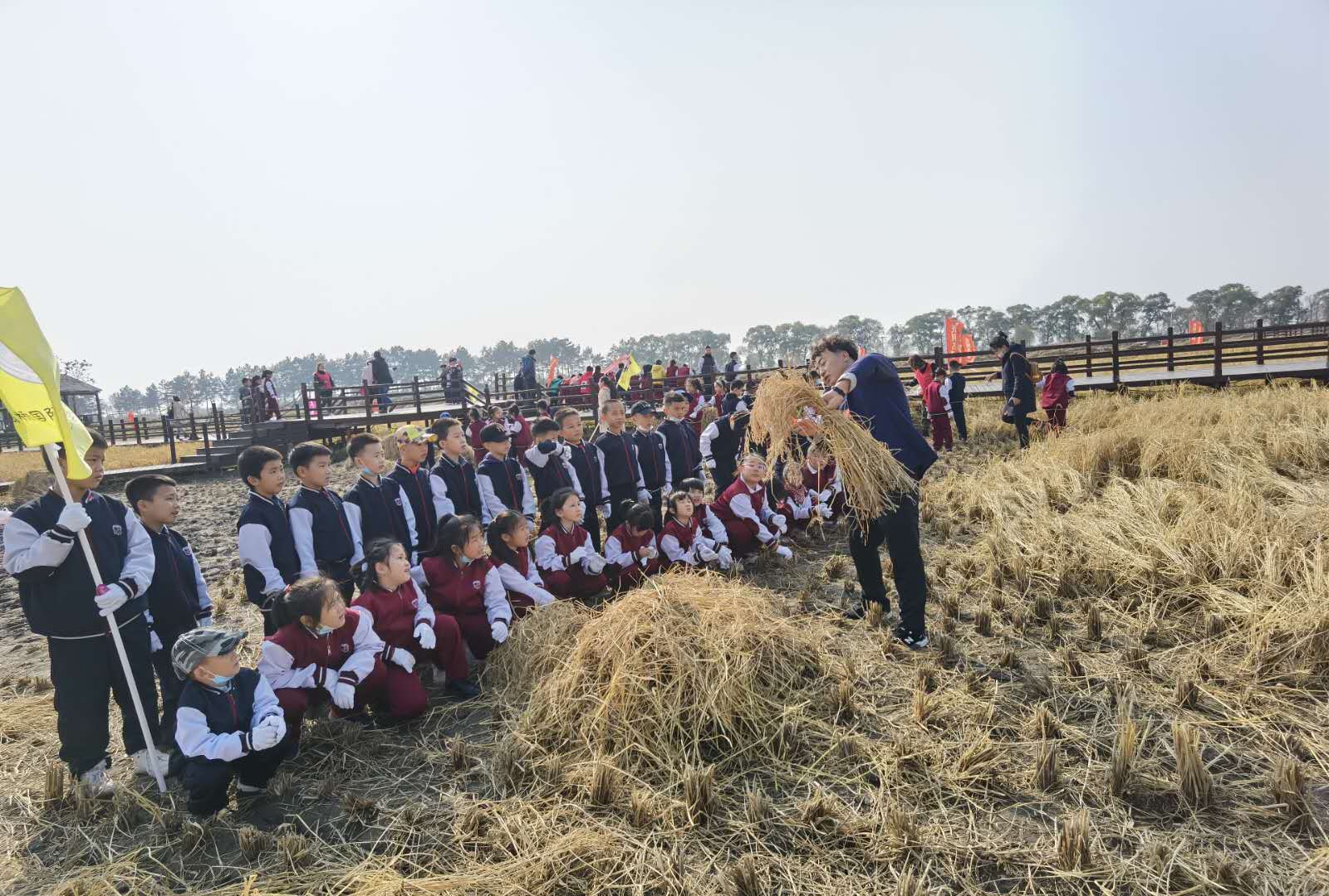 怎样才能进入五常 d1b9c27b5b26413982ccad965b68b5b1.jpeg