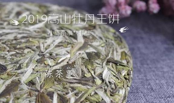 福鼎|喝茶是喝品质，还是盲从大师？无论白茶、岩茶、普洱茶、红茶