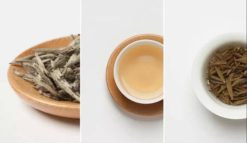 白茶|你喝到过粘稠感么?在老白茶的茶汤里