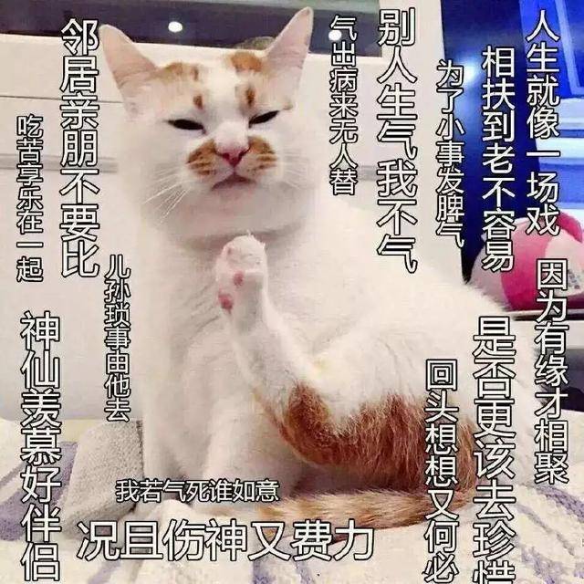 【kaiyun】《佛教青年》入选年度网络用语 你是真佛教徒还是伪佛教徒？(图1)
