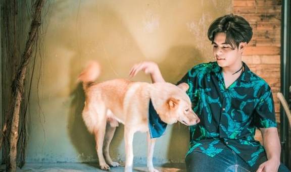 如何成为网红宠物博主 620a72431e994877b2ee05b0d113cf6f.jpeg