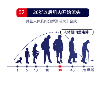 老年人跌倒是因为骨质疏松?其实肌肉衰减才是最大隐患