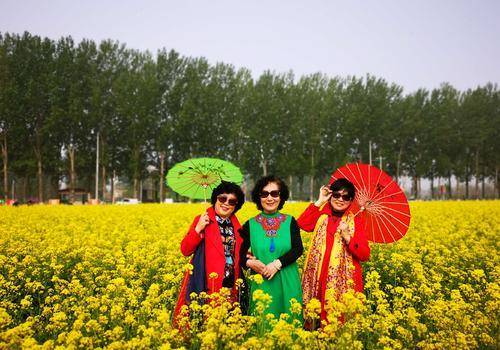 北京被称怪村的地方 却藏着百亩油菜花海 距市区1小时车程 怪村油菜花在哪 丹若网