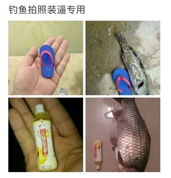 中国男人分两种：钓鱼的和不钓鱼的