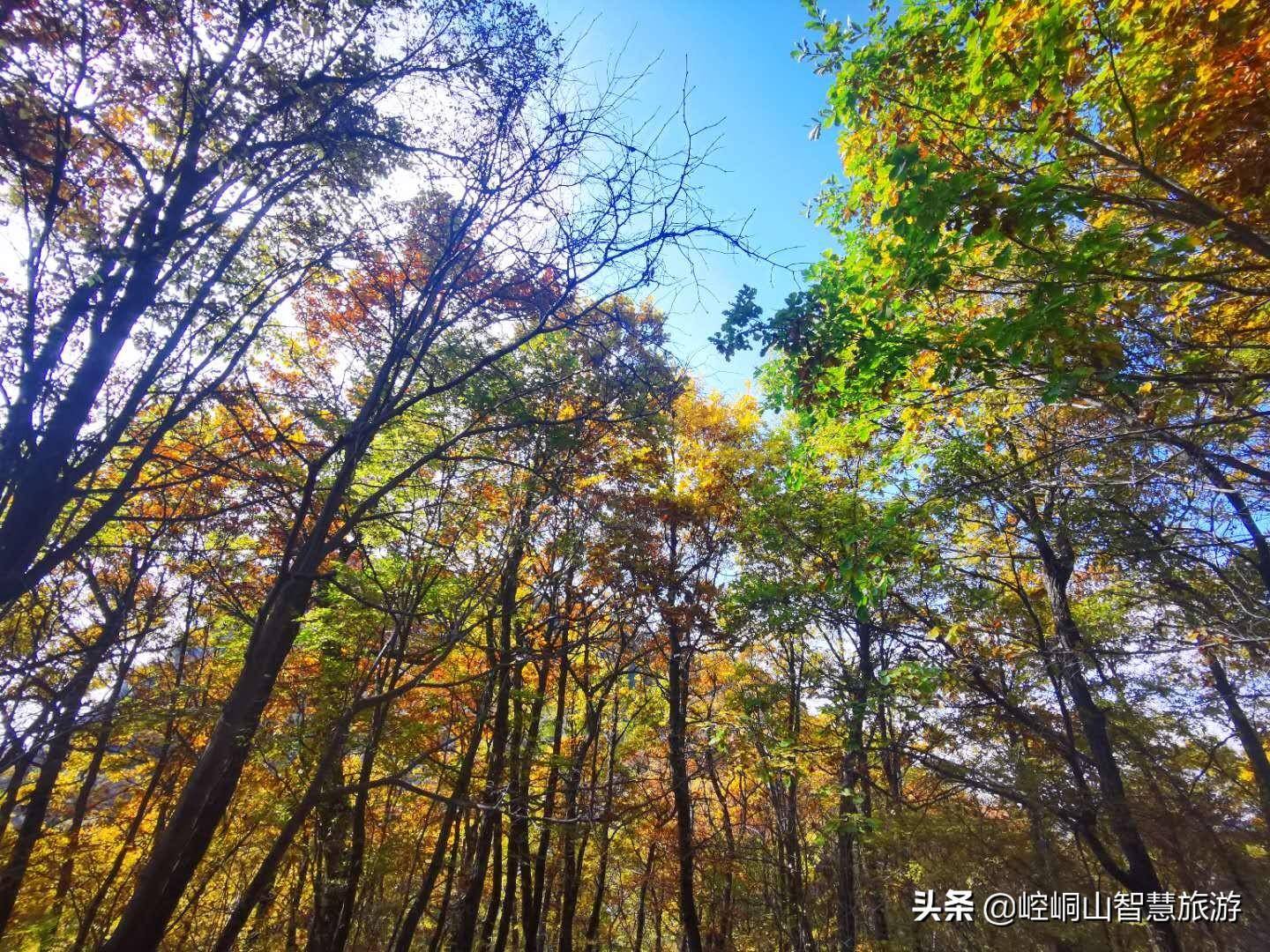 秋季出游正当时  这个地方已美成了一幅画！_崆峒山