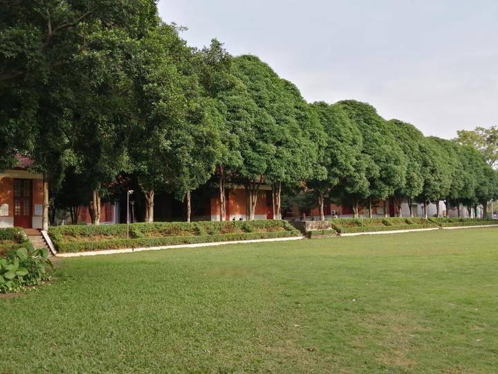 见闻记录|中国达人秀总冠军卓君被母校以高层次人才引进，聘任为创业导师