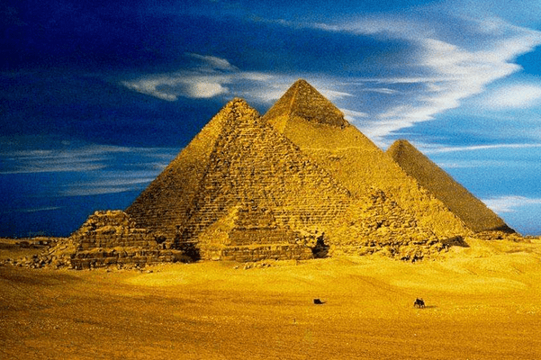 9e33b819aa394e61b9e02ce8e5987df1.png