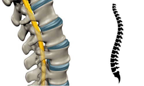 马尾神经损伤有什么用?