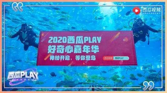 视频|中视频“轮盘赌”