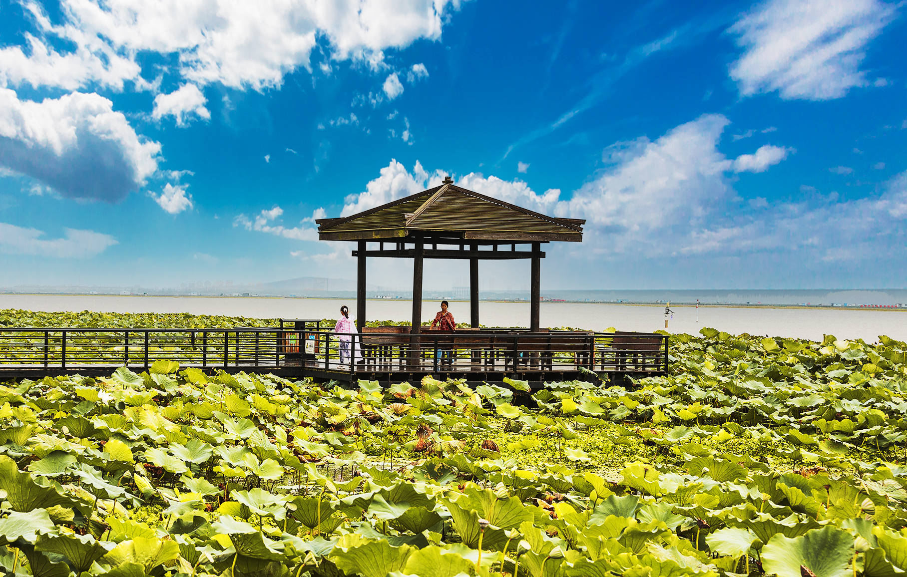 人生|不是阳澄湖蟹好,人生何必住苏州