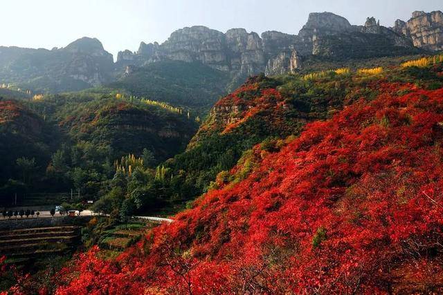 太行大峡谷秋色惊艳央视!让林州美景再一次火遍全国