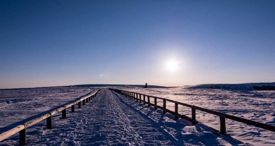 家电双十一大战提前枪响，海尔美的海信TCL华帝上演你追我赶-家电圈官网