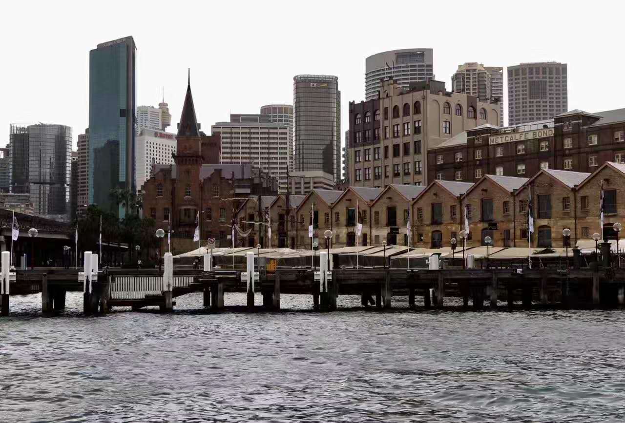 闪崩！造假？网红中概股跟谁学又怎么了？