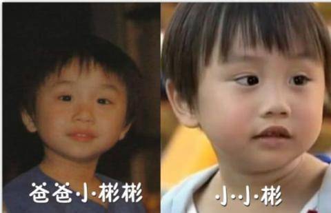 不少人都认识小小彬,而一提起小小彬的名字,人们脑海中都是那个可爱