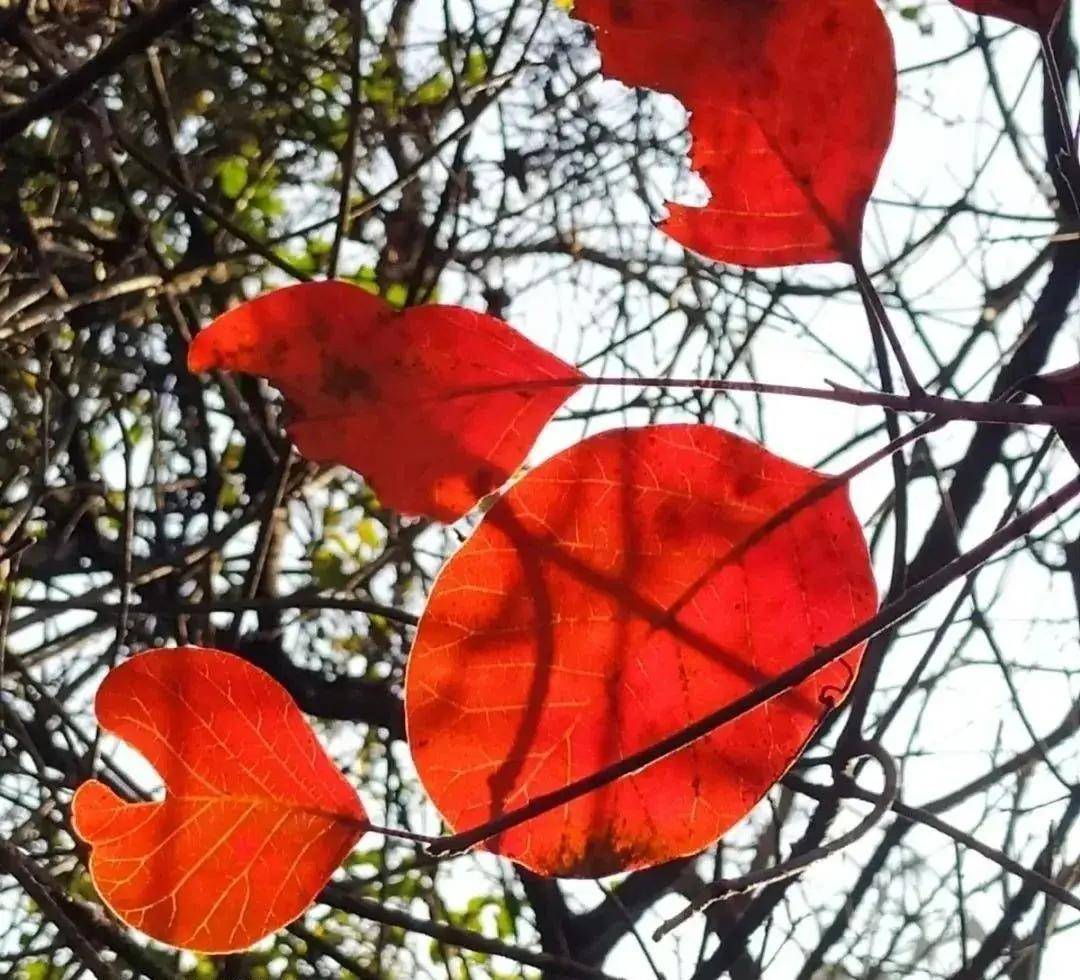秋游济南秘境佛峪大峡谷 秋游济南秘境佛峪大峡谷