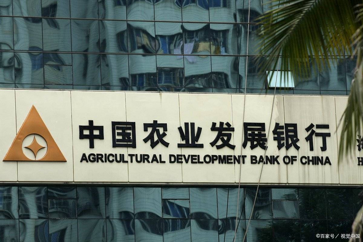 给黑恶组织做“保护伞” 农业发展银行分行长获