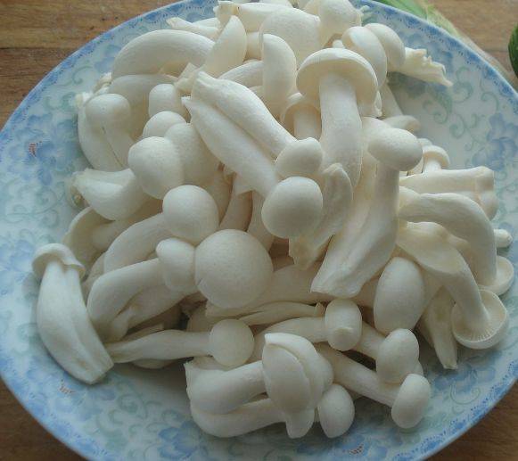 炒肉丝需要放豆瓣酱吗 904c7ffbf34f473d9a4887a2c72941b9.jpeg