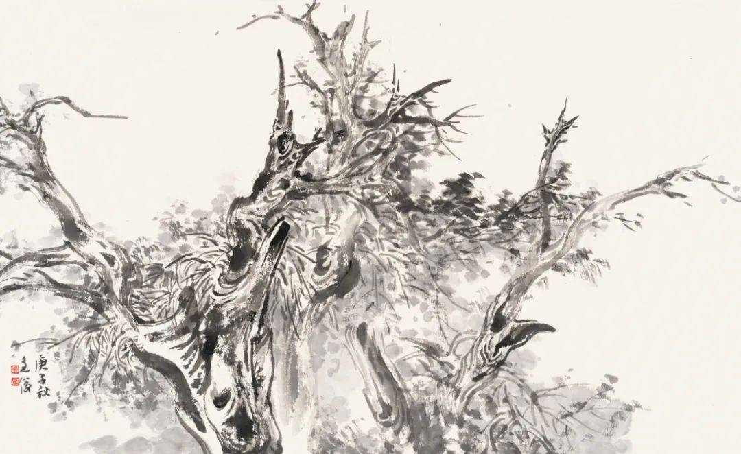 塔什库尔干县2020年G_塔什库尔干县地图(2)