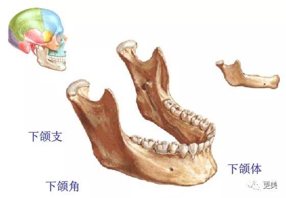 面部|韩国小姐冠军出炉，和王思聪前女友撞医生，才22岁就老了...