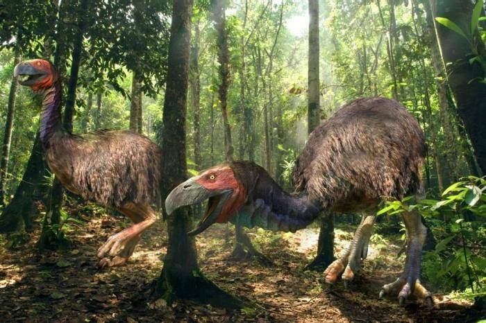 原创恐龙灭绝后,鸟类和哺乳动物在陆地上争霸,为什么哺乳动物取胜?