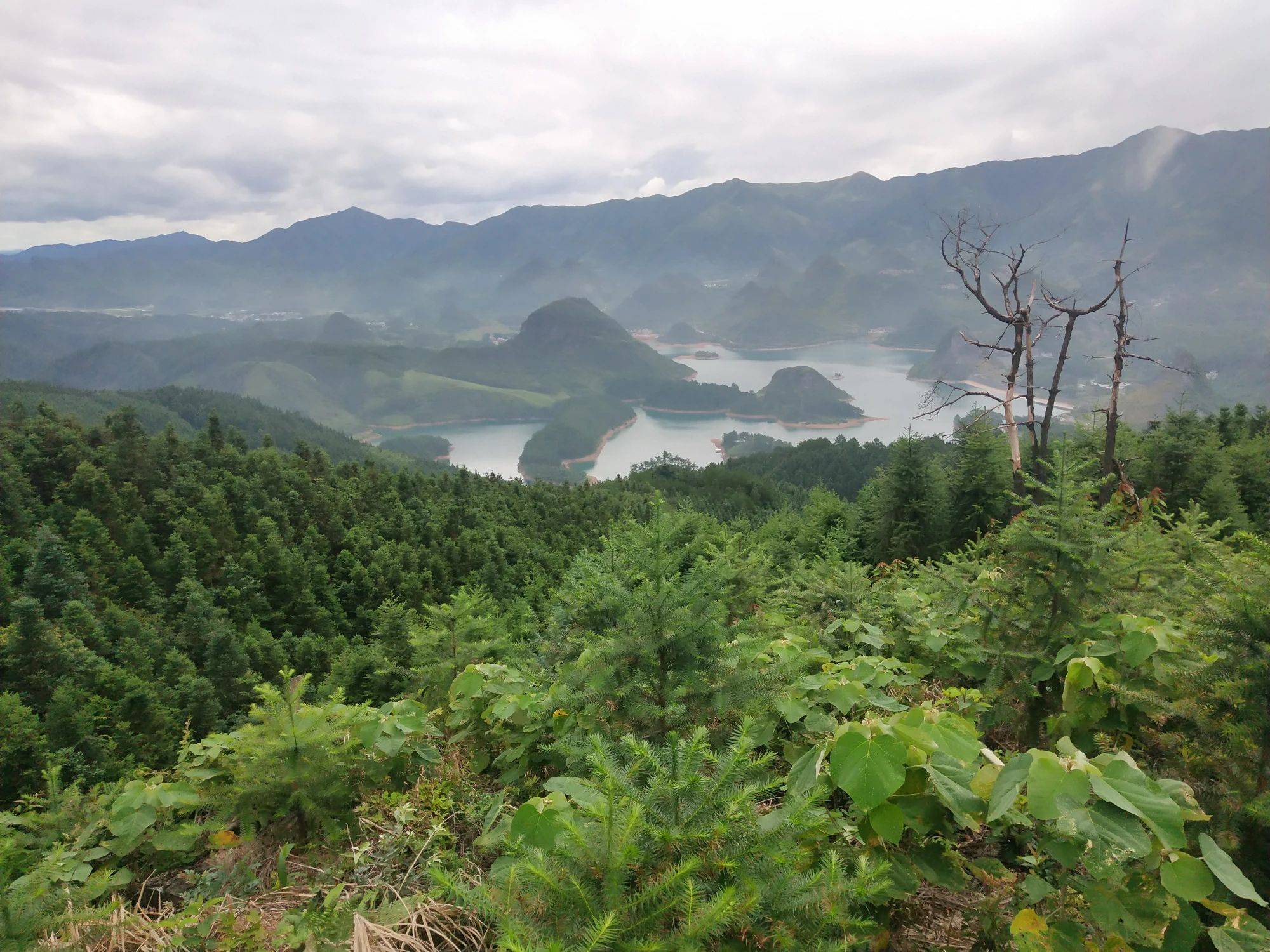 全州石塘广竹村人口_广西桂林全州石塘高中(2)