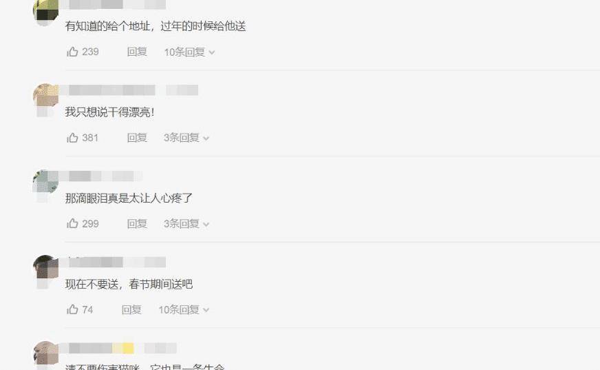 虐猫男子老家不断收到花圈寿衣 店家对客户进行