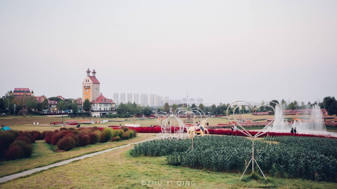 武汉一座老少都爱的花海胜地，免费开放到年底，里面全是网红项目_花博