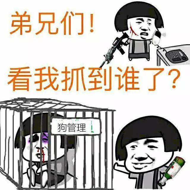 c658b01075fb4667a2a89ab51b81de2a.jpeg