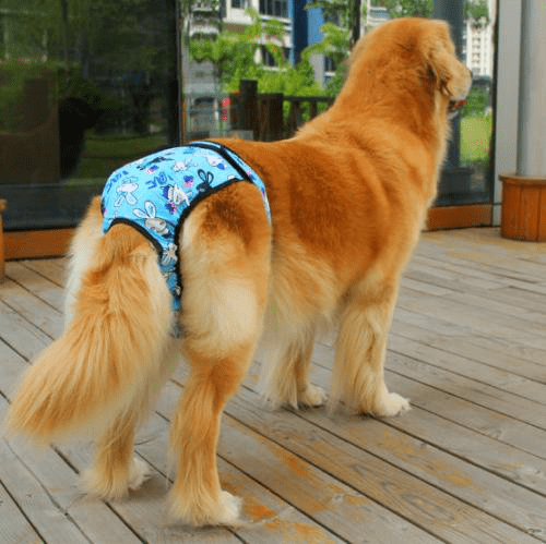 c81a2ae5d4ce440aaaaf3504d70e7682.png