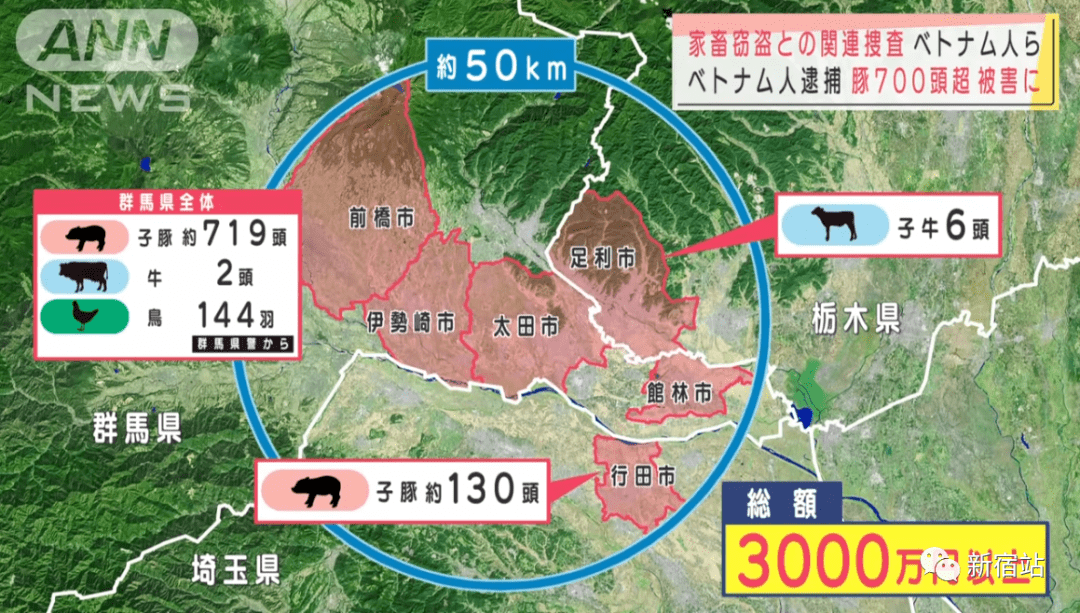 国内真实人口_国内人口迁移图片(2)