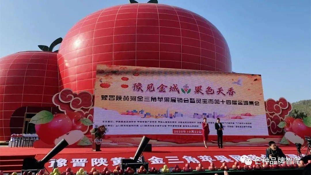 河南灵宝市2020gdp_灵宝市焦村一中照片(2)