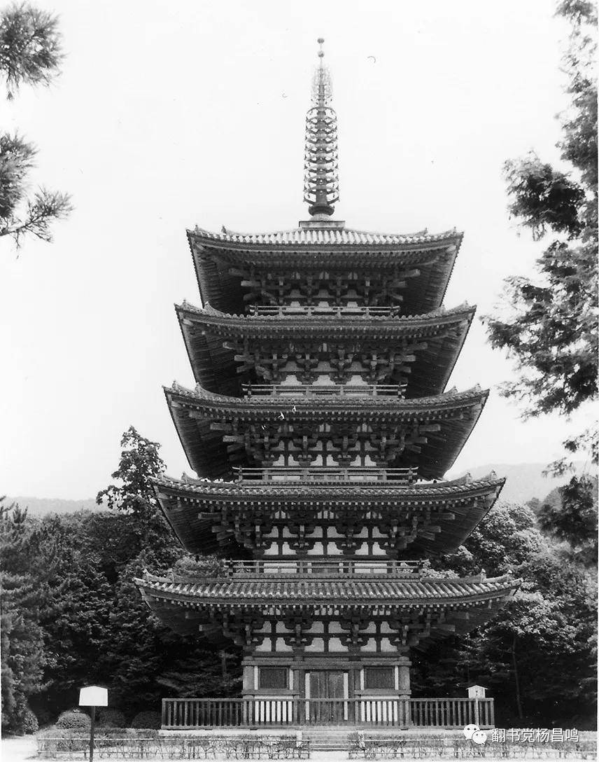 原创【连载】泉州开元寺:(四)镇国东塔