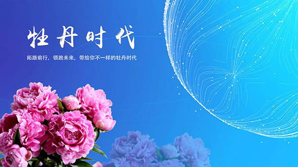 企业|龙池牡丹 | 让“盛世之花”在高质量发展中绽放光彩