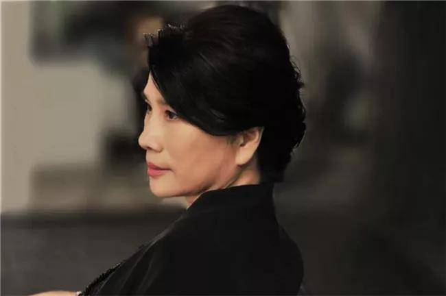 董明珠|银隆新能源成被执行人 董小姐铁腕没能挖出金子