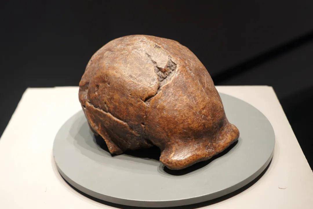 头盖骨|北京西南郊小山包 为何成为世界文化遗产