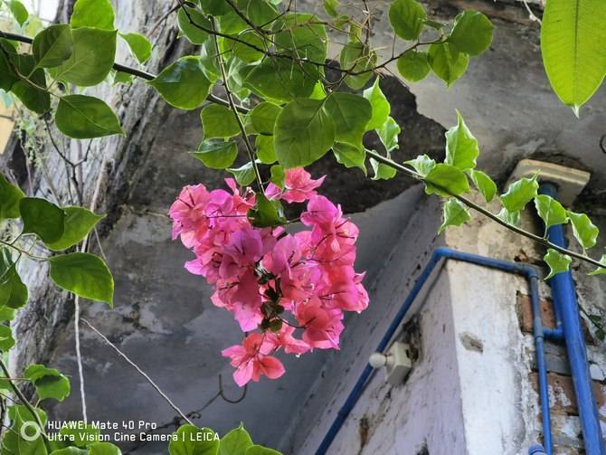 Mate|华为Mate40 Pro深度评测：全能实力问鼎年度旗舰